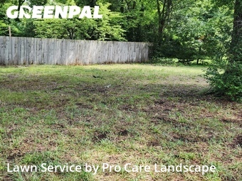 Lawn Maintenancein Concord,28025,Lawn Cutting by Pro Care Landscape , work completed in Jul , 2026