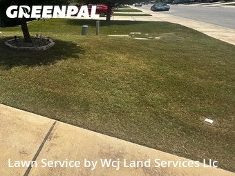 Lawn Cut nearby New Braunfels, TX, 