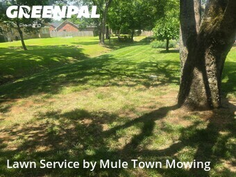 Grass Cutting nearby Murfreesboro, TN, 