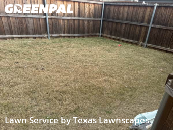 Lawn mowed in Allen, 75013