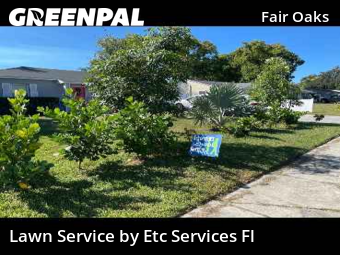 Grass Cuttingin Tampa,33611,Grass Cut by Etc Services Fl, work completed in Nov , 2025