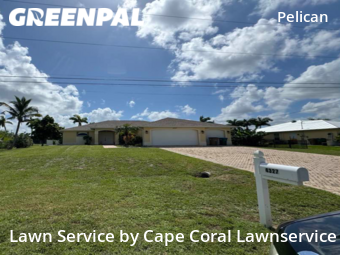 Grass Cutting nearby Cape Coral, FL, 
