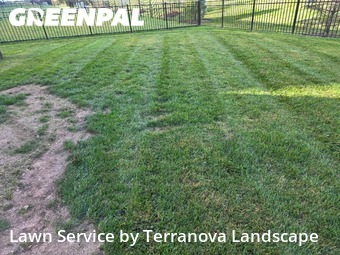 Backyard Mowing in South Elgin, 60177, Yard Grooming by Terranova Landscape, work completed in Nov , 2025