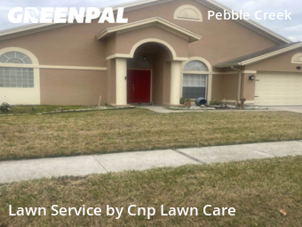 Lawn mowed in Tampa, 33647