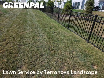 Yard Grooming in South Elgin, 60177, Yard Services by Terranova Landscape, work completed in Nov , 2025
