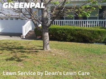 Grass Cut nearby Raleigh, NC, 