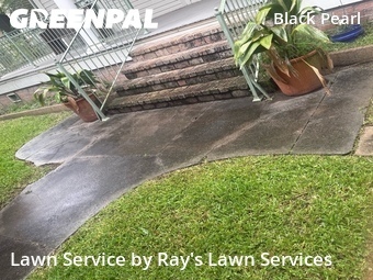 Lawn Service nearby New Orleans, LA, 