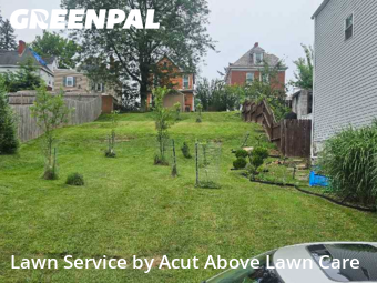 Yard Cutting in Ross Township, 15202, Yard Work by Acut Above Lawn Care, work completed in Oct , 2025
