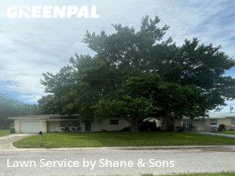 Lawn Mow nearby St. Petersburg, FL, 