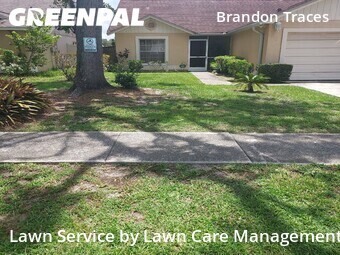 Lawn Mowing Servicein Brandon,33510,Yard Cutting by Lawn Care Management, work completed in Jun , 2026