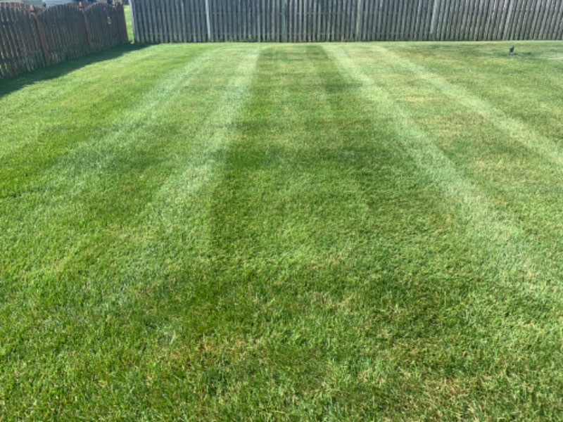 cheap-lawn-cutting-businesses-in-Bristol Township-PA
