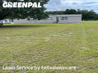 Yard Cutting nearby Thonotosassa, FL, 