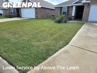 Lawn Mow nearby Bellview, FL, 