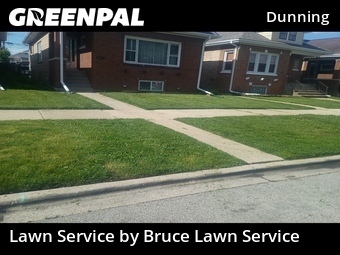 Lawn Mow nearby Chicago, IL, 
