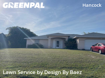 Grass Cut nearby Cape Coral, FL, 