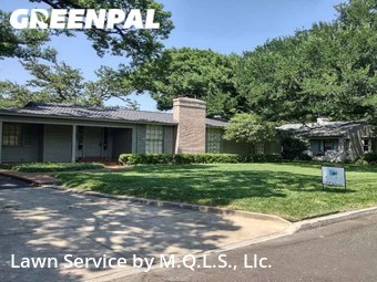 Lawn Servicein Alamo Heights,78209,Yard Mowing by M.Q.L.C. Llc., work completed in Dec , 2025