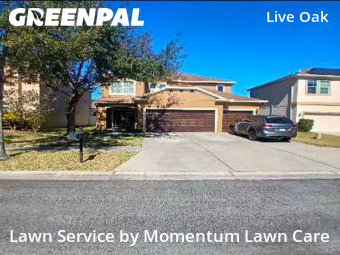 Lawn Cutting nearby Tampa, FL, 