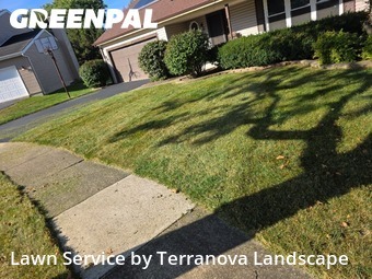 Lawn Services in Woodridge, 60517, Grass Services by Terranova Landscape, work completed in Nov , 2025
