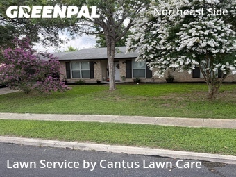 Grass Cut nearby San Antonio, TX, 