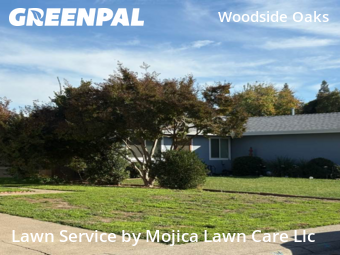 Work completed by local-lawn-care-services-in-Citrus Heights-CA