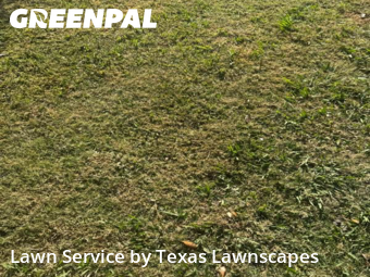 Lawn Cutin The Colony,75056,Grass Cut by Texas Lawnscapes, work completed in Nov , 2025