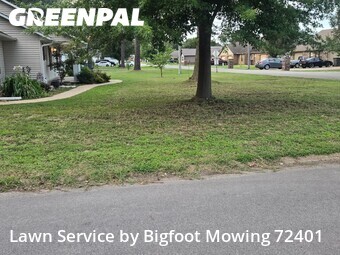 Lawn mowed in Paragould, 72450