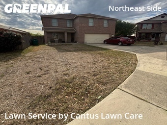 Lawn Mowing nearby Converse, TX, 