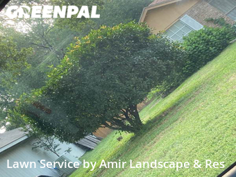 Yard Cutting nearby Irving, TX, 