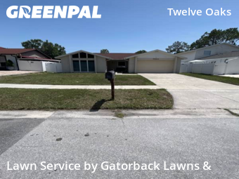 Lawn Maintenance nearby Tampa, FL, 