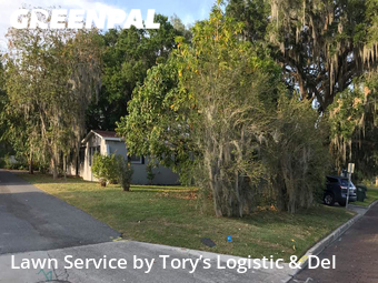 Grass Cut nearby Lakeland, FL, 