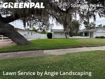 Lawn Mowing Service nearby Dunedin, FL, 