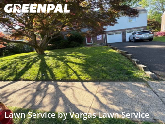 Yard Grooming in Glenside, 19038, Lawn Upkeep by Vargas Lawn Service, work completed in Nov , 2025