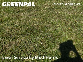 Lawn Care nearby Fort Lauderdale, FL, 