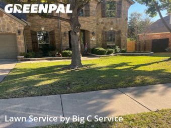 Yard Mowing nearby Cedar Park, TX, 