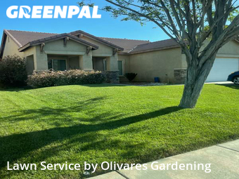 Lawn Maintenance nearby Lancaster, CA, 
