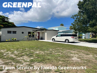 Grass Cut nearby St. Petersburg, FL, 