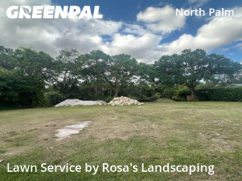 Weed Trimming in Jupiter, 33458, Weed Trimming by Rosa's Landscaping , work completed in Nov , 2025