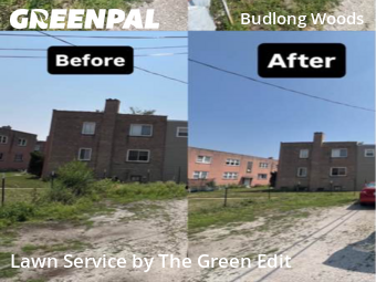 Yard Cutting nearby Chicago, IL, 