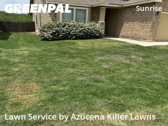 Grass Cut nearby San Antonio, TX, 
