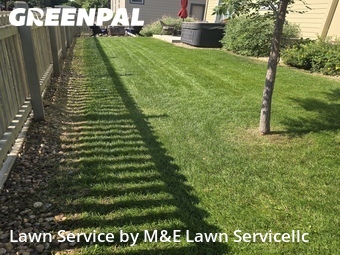 Lawn Service nearby Longmont, CO, 