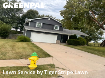 Grass Cutting nearby Papillion, NE, 