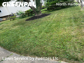 Lawn Mow nearby Parkville, MD, 
