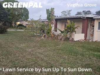 Lawn Service nearby Clearwater, FL, 