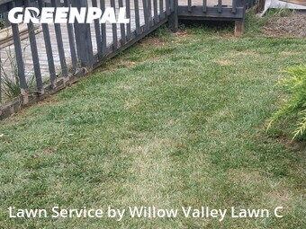 Yard Cutting nearby Roanoke, VA, 