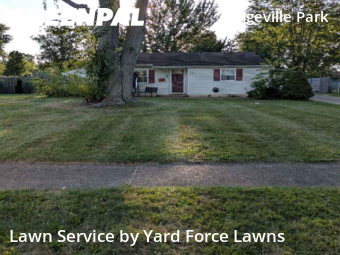 Yard Care in North Ridgeville, 44039, Property Maintenance by Yard Force Lawns, work completed in Nov , 2025