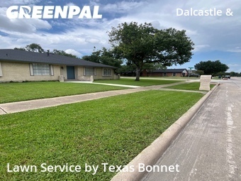 Grass Cut nearby Garland, TX, 