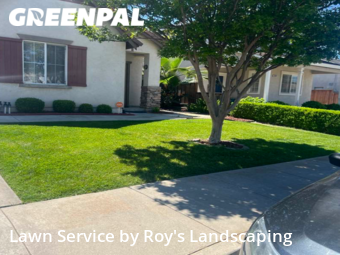 Lawn Mowing Service nearby Tracy, CA, 