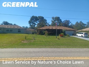 Yard Management in Citrus Springs, 34433, Garden Trimming by Nature's Choice Lawn, work completed in Nov , 2025