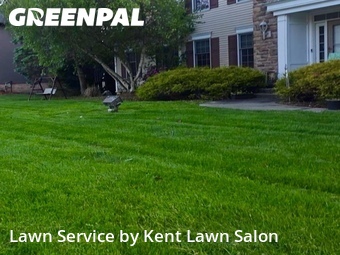 Lawn Cut nearby Stow, OH, 