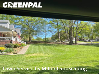 Grass Cutting nearby Harrisburg, NC, 